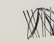 hvu7nzg7psoch9n-91