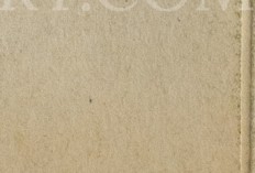 bs33nlbfrkz684x-140