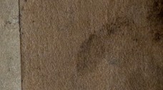 tdjipifoijrscyw-106