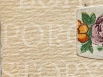 ogpmsu7ceyw1zoo-128