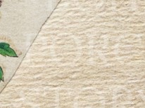 ogpmsu7ceyw1zoo-135