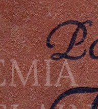 zycma1sw7bk3mw0-31