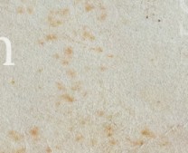 at2fk253b0aohtd-136