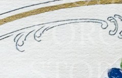 efungnxayb66nsz-12