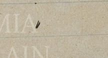 dqata7ncv5xee1s-106