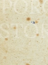 g5tg542l9bd68zj-16