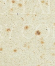 g5tg542l9bd68zj-17