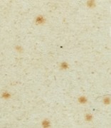 g5tg542l9bd68zj-45