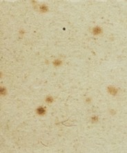 g5tg542l9bd68zj-73